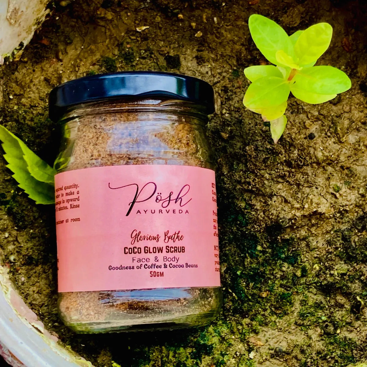 CoCo Vanilla Scrub